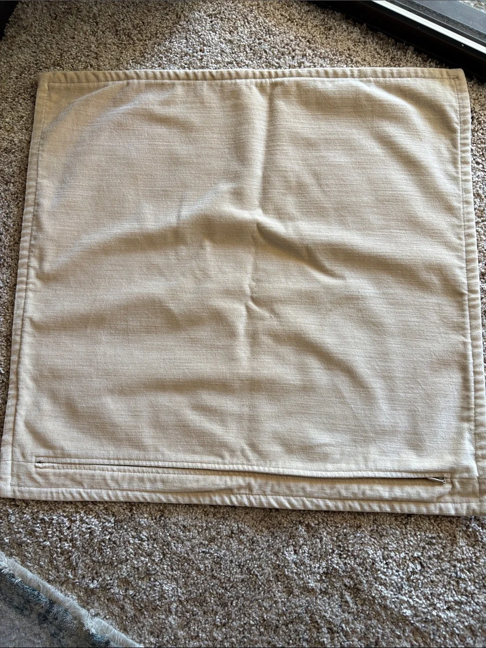 Pottery Barn Light Tan Velvet-Look Pillow Cover